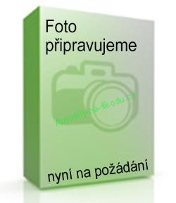 Mriežka masky Octavia2 do 2009